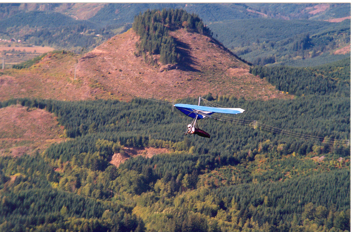 DogSoar1