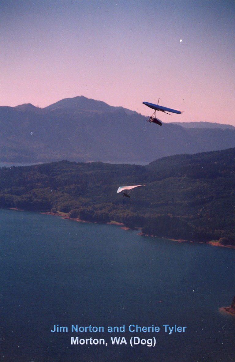 DogSoar3
