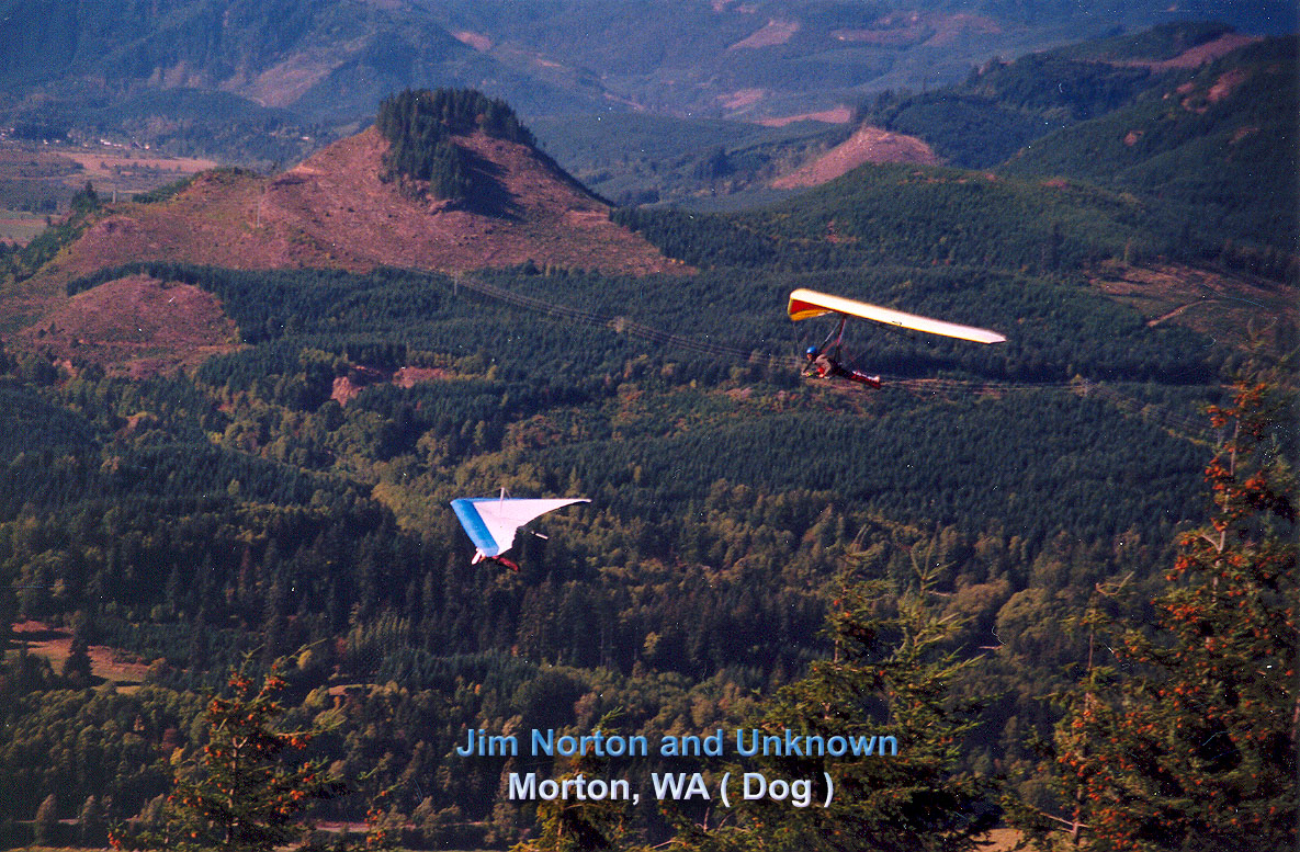 DogSoar5