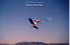 DogSoar2